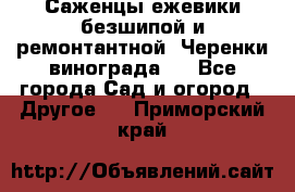 Саженцы ежевики безшипой и ремонтантной. Черенки винограда . - Все города Сад и огород » Другое   . Приморский край